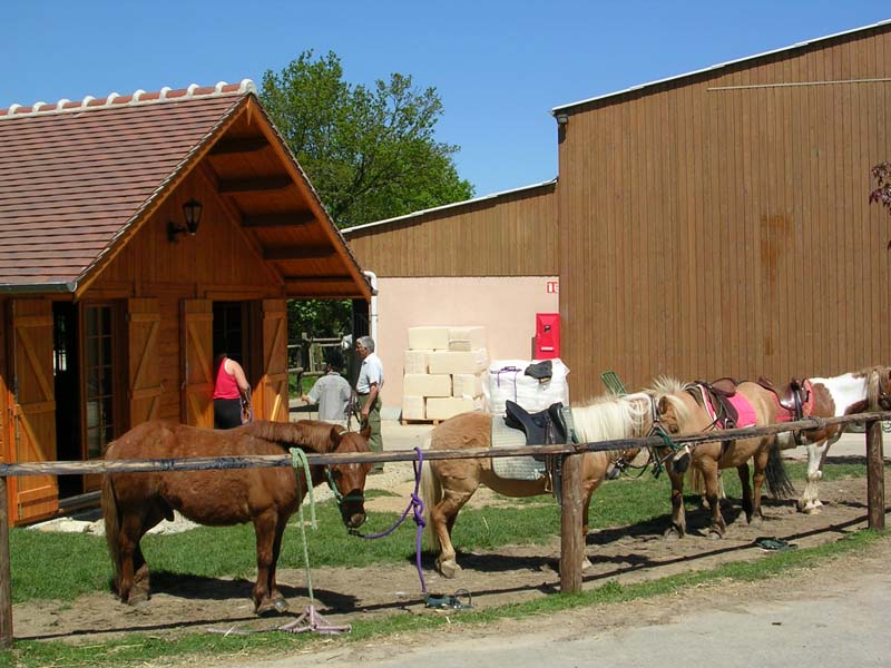 Haras de la Chéchinière