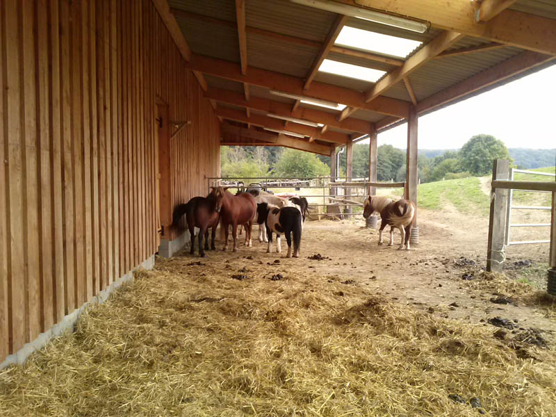 Les Petits Cavaliers - La Chapelle Montligeon