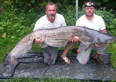Pêche sportive de l'Etang de Rouge