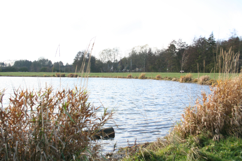 Plan d'eau de la Borde
