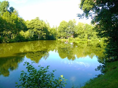 Plan d'eau du Vieux Moulin Chapelle Royale