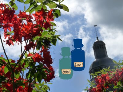 Jeu-parfums