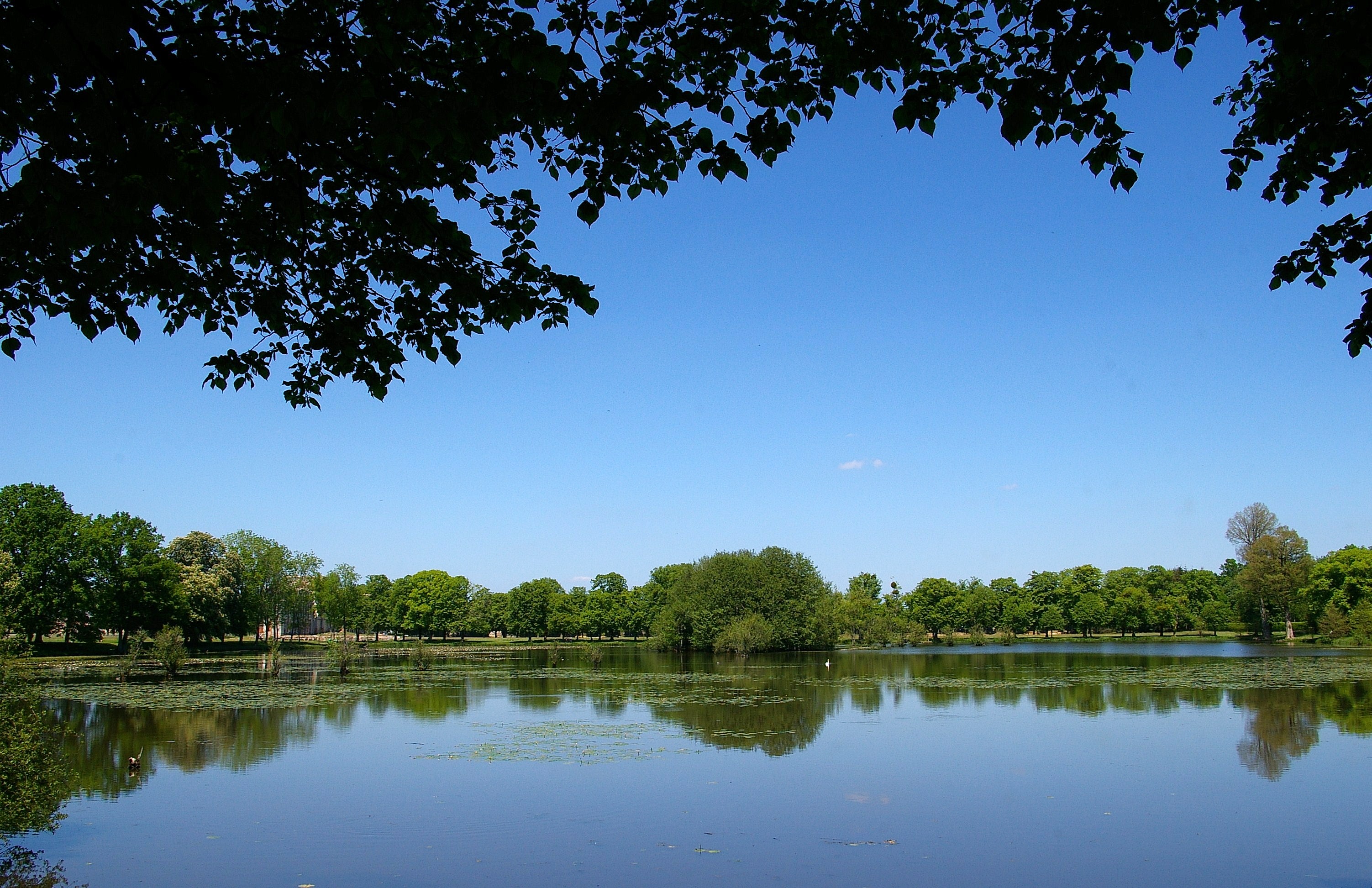 Printemps dans le parc du château de La Ferté-Vidame.