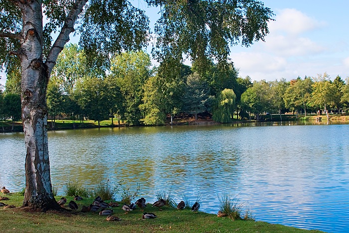 Photos-henri017