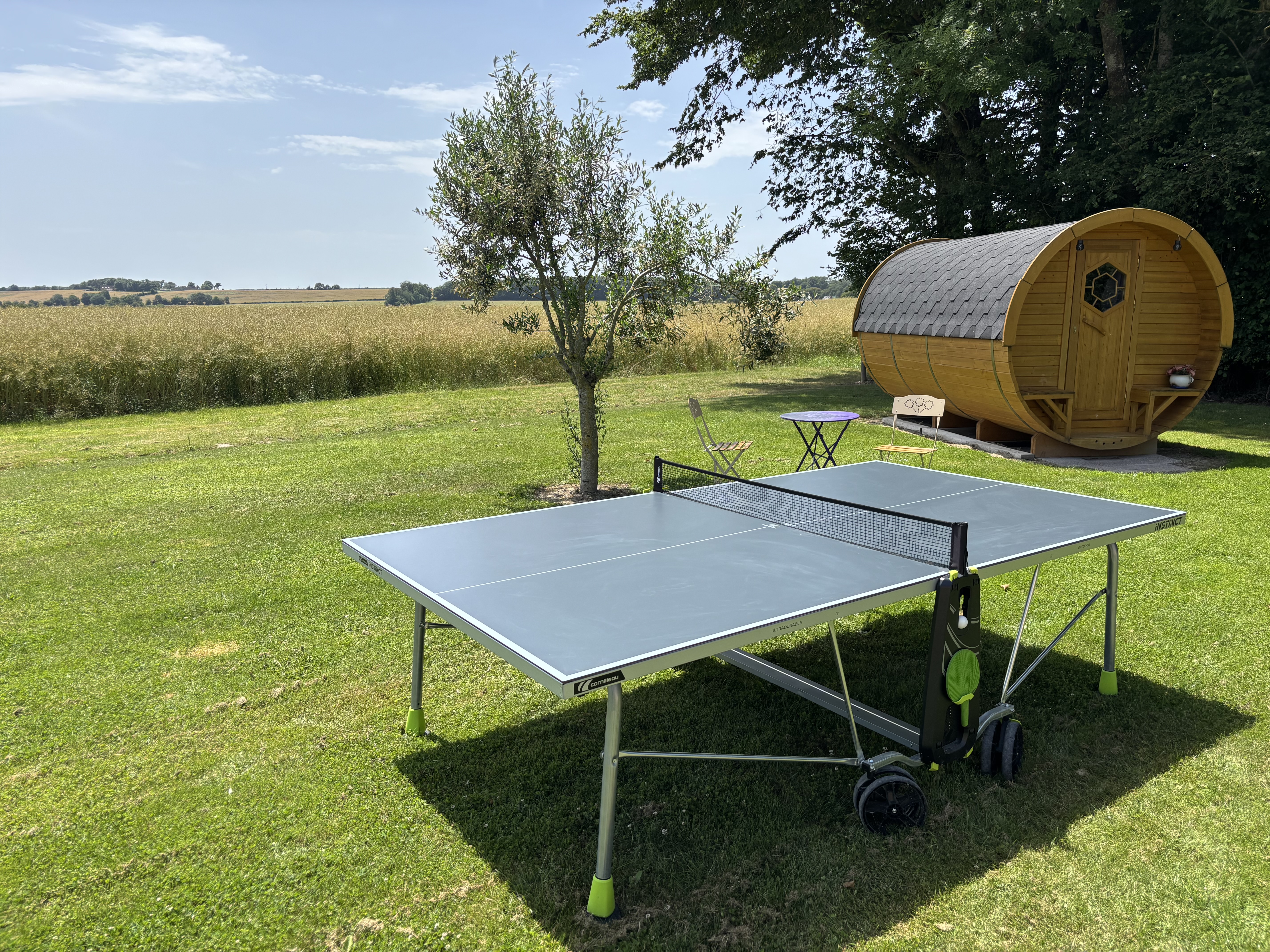 Jardin ping pong