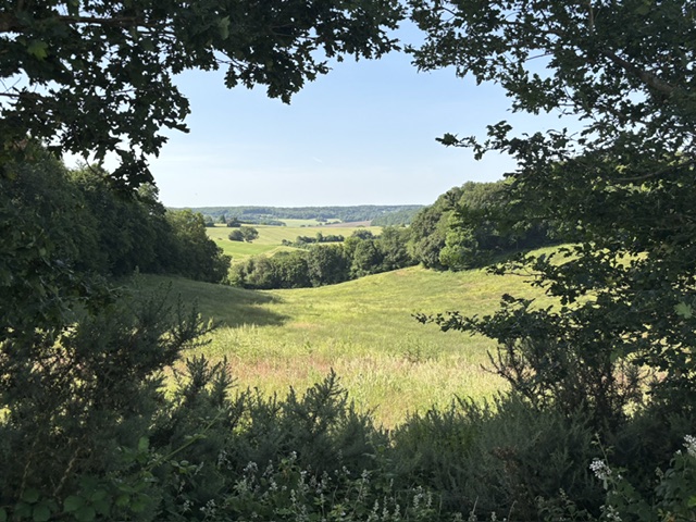 Paysage