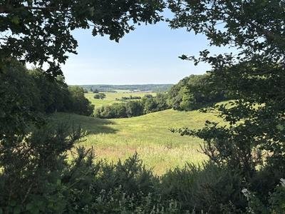 Paysage