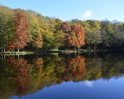 Etang de la Herse