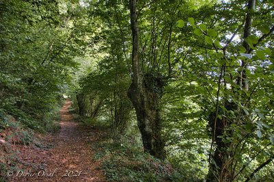 Les trognes en arrivant sur La Bassière