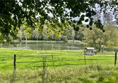 ©Maxence Palcy-OTForêtsduPerche