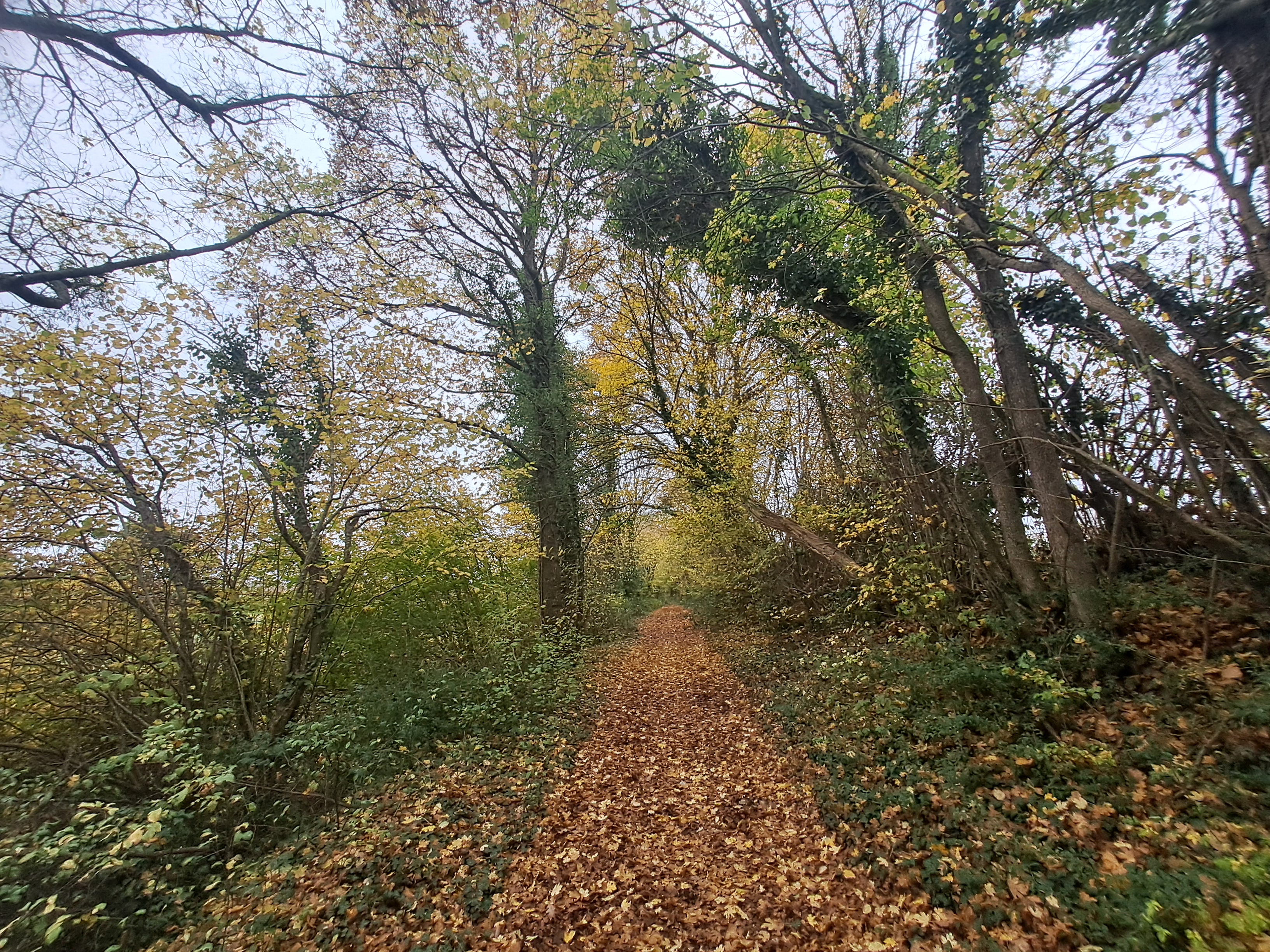 En chemin vers Charabaux. Automne 2025