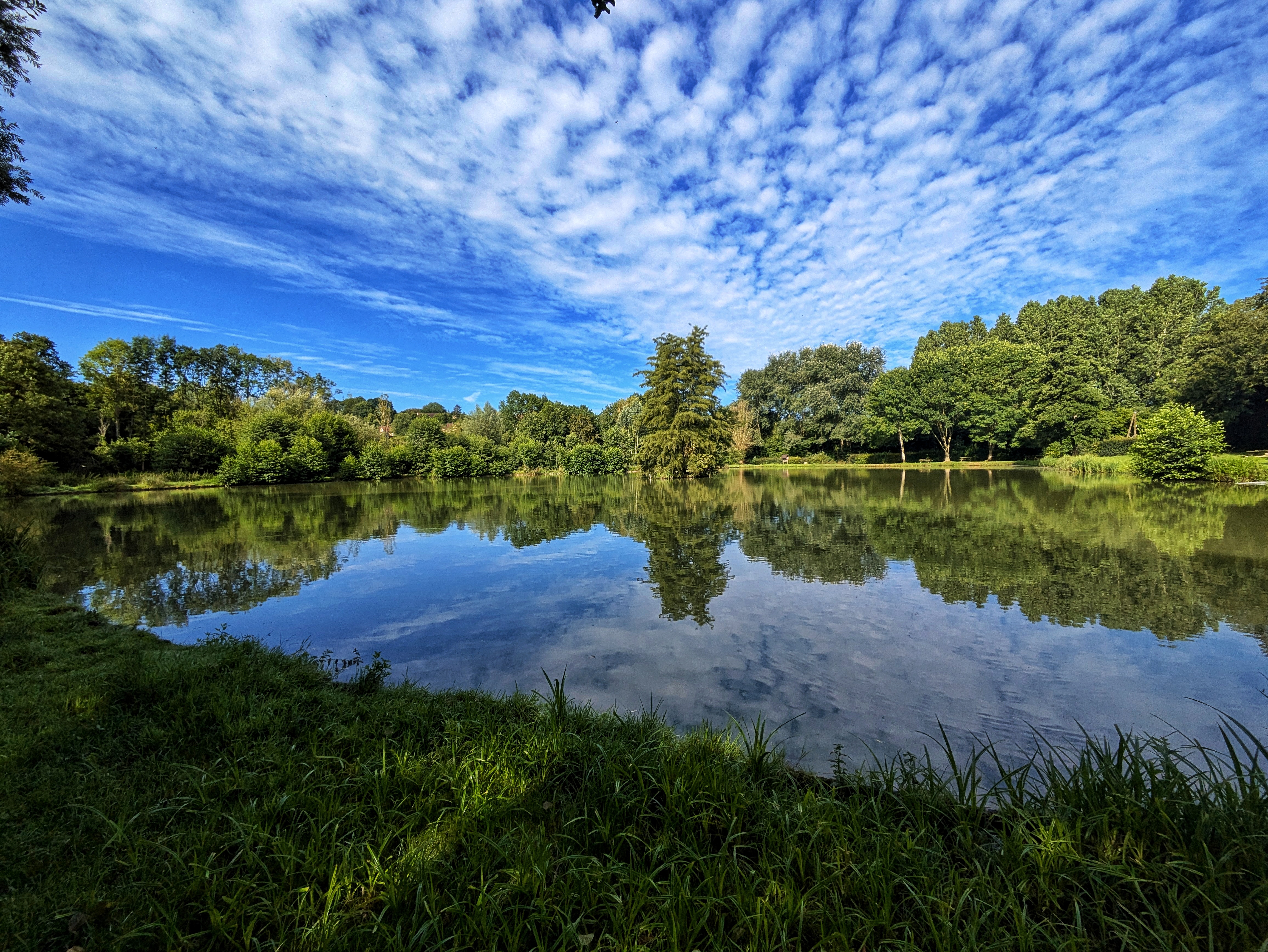 Etang de Vichères