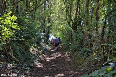 Bois des Cents Arpents