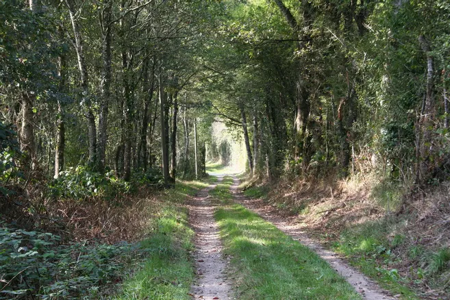 Chemin de César©Stéphane Marchand