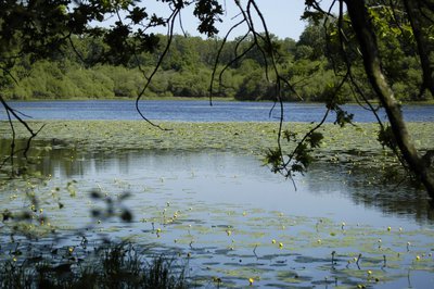 Etang de la Benette