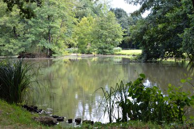 Parc Nature de Préaux-du-Perche