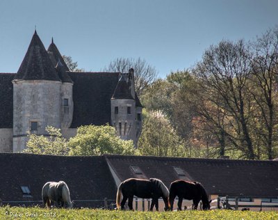 Manoir de Courboyer © Didier Orsal